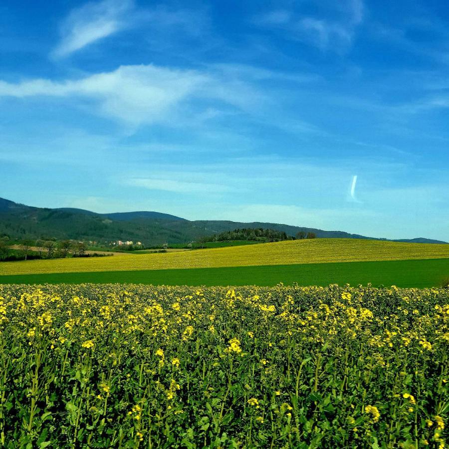 Agroturystyka Sielska Kraina Zabkowice Slaskie Dış mekan fotoğraf