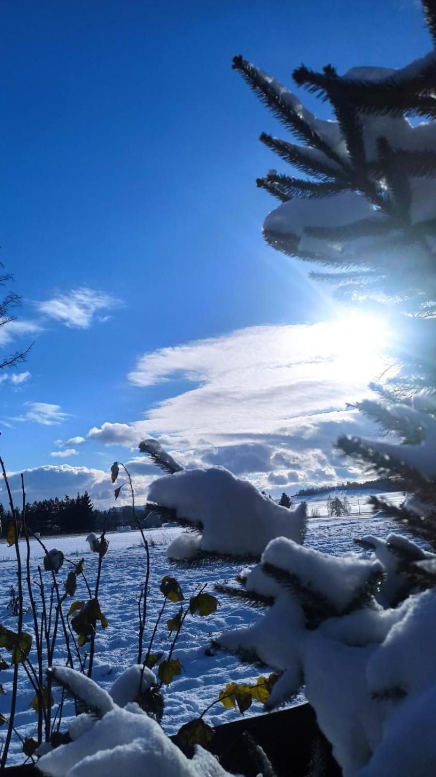 Agroturystyka Sielska Kraina Zabkowice Slaskie Dış mekan fotoğraf